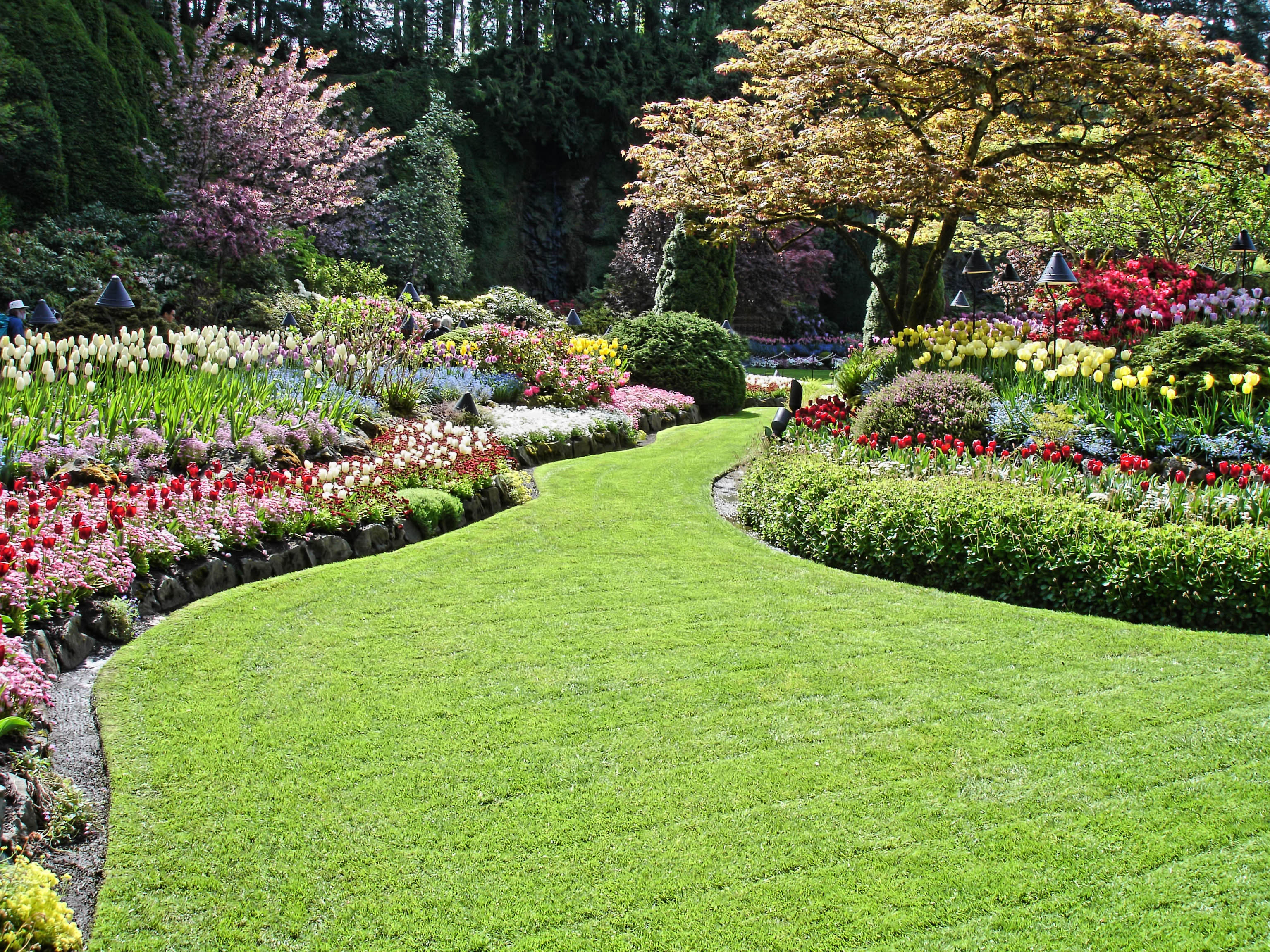 Landscaping by Brelock Construction